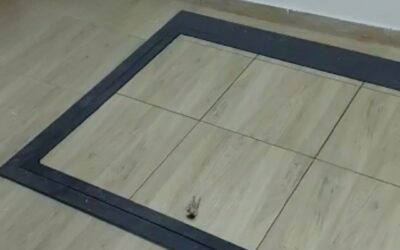 Capace Beci Gresie Incorporata Deschidere Usoara