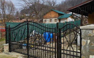 Set poarta auto si poarta pietonala fier forjat