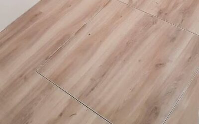 Trapa De Vizitare Podea, Beci, Pivnita