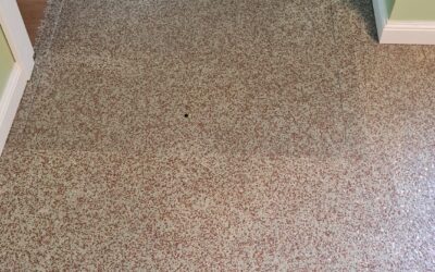 Trapa Usa Vizitare Beci Placare Pardoseala Epoxidica Din Covor De Piatra